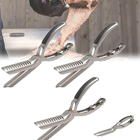Rib Membrane Removal Tool, Rib Prep Tool, Stainless Steel BBQ Rib Skinner Tool, Kitchen Grill Gadget for Rib Prep, Dishwasher Safe Barbecue Accessories, Ergonomic Design for Easy Membrane Removal(3pcs Rib Membrane Removal Tool, Rib Prep Tool, Stainless Steel BBQ Rib Skinner Tool, Kitchen Grill Gadget for Rib Prep, Dishwasher Safe Barbecue Accessories, Ergonomic Design for Easy Membrane Removal(3pcs