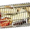 Yukon Glory™ Burger Serving Set, Perfect For Foodies, Burger Lovers and Tablescapes, Includes Premium Acacia Wood Board With Slate, Stainless Steel Fry Basket and Porcelain Condiment Cups, 4